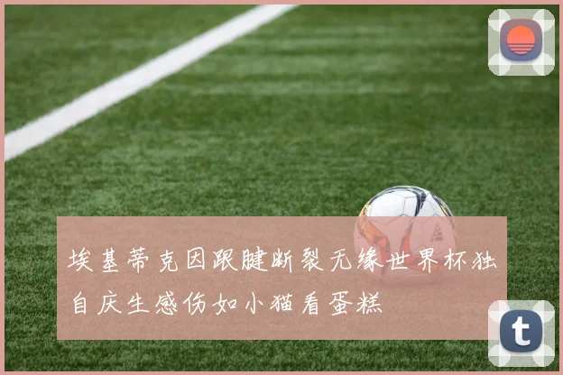 埃基蒂克因跟腱断裂无缘世界杯独自庆生感伤如小猫看蛋糕